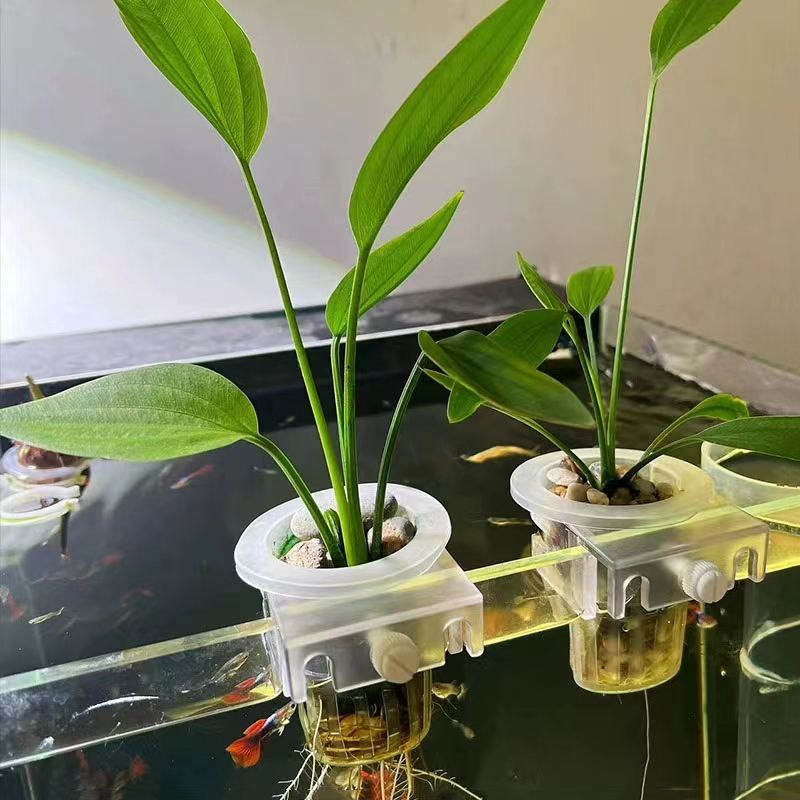 Aquarium Plantmand Hydroponisc - Aquarium Fish For Beginners recensie en prijs