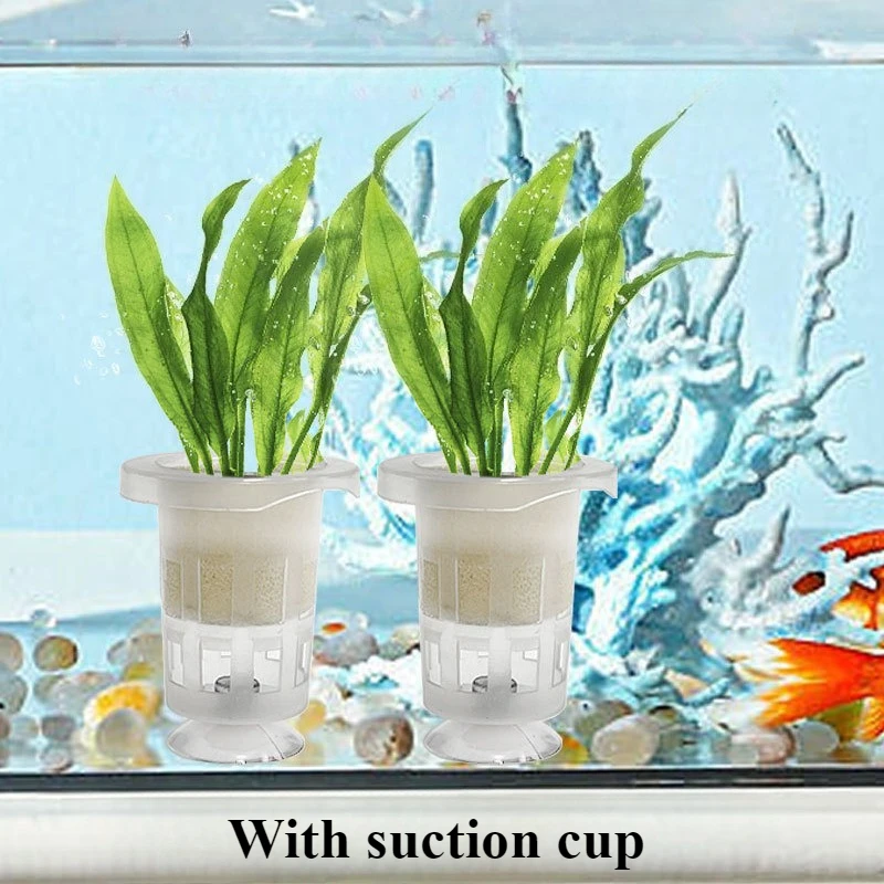 50 pcs/10 pcs Aquarium Planten - Aquarium Fish Pot recensie en prijs